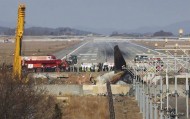 致179人遇难！韩国12·29济州航空空难阶段性调查结果出炉：飞机遭遇鸟击后飞行员关错发动机，导致两台发动机失去动力