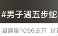 安徽宣城一男子走路玩手机，一脚踩中打架的竹叶青和五步蛇，被俩毒蛇咬3口！医院：暂无生命危险，正在治疗