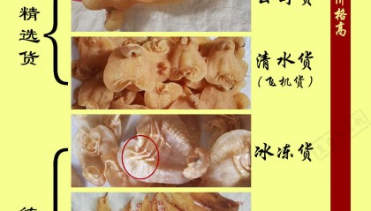 鱼胶的价格排行榜，花胶价格因素分析