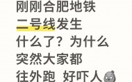 合肥地铁二号线有男子嘶吼致乘客四散而逃，还有乘客鞋都挤掉了？多方回应：正在调查