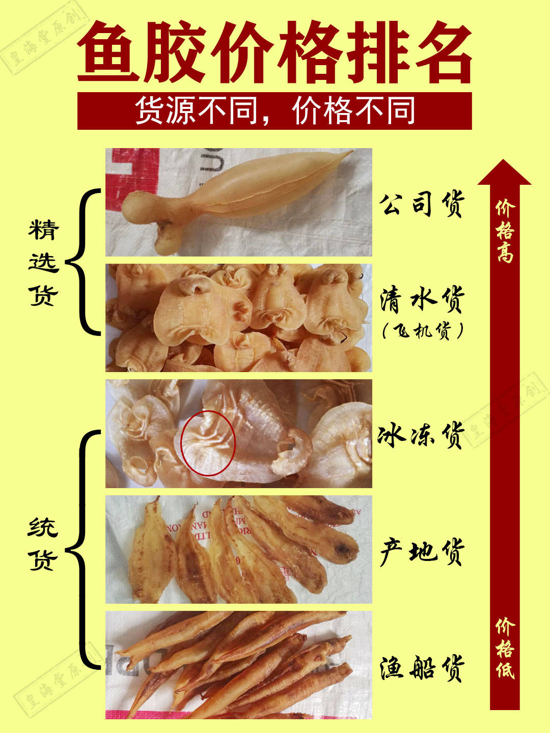 鱼胶的价格排行榜，花胶价格因素分析