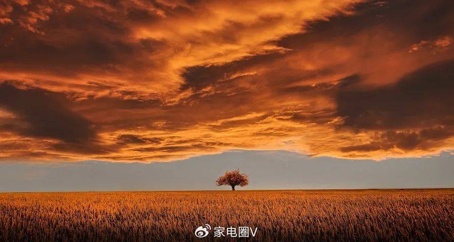 家电厂商的“一锤子买卖”彻底完蛋了